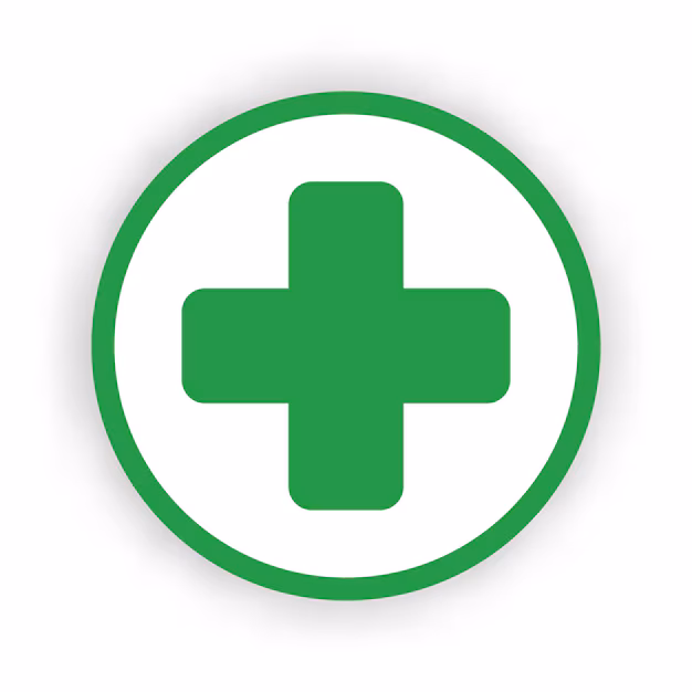 Green Plus Icon